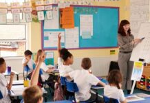 the influential role of cbse education in shaping students future