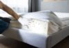 5 signs of a bed bug infestation in your property