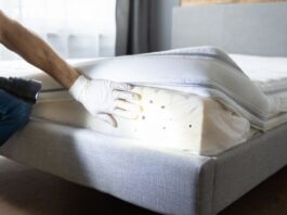 5 signs of a bed bug infestation in your property