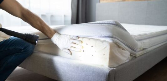 5 signs of a bed bug infestation in your property