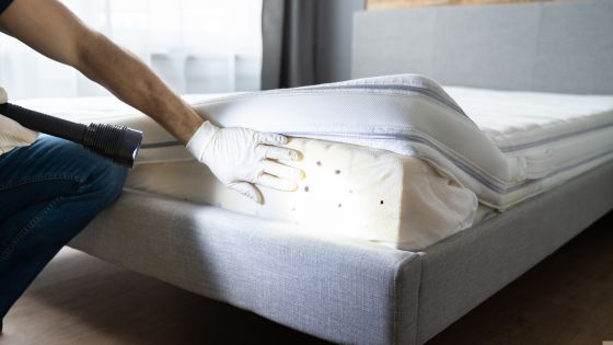 5 signs of a bed bug infestation in your property
